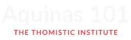 Aquinas 101 - It matters what you think