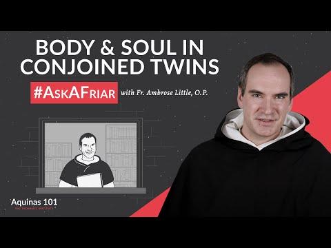 What is the relationship between soul and body in conjoined twins? #AskAFriar