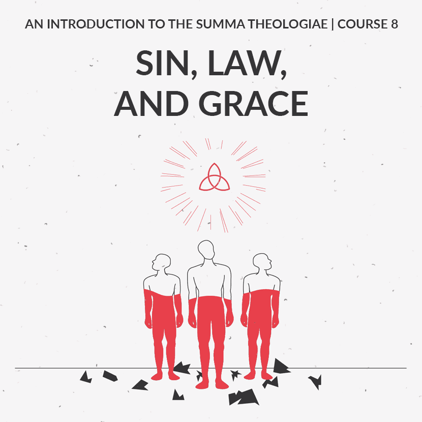 Sin, Law, and Grace