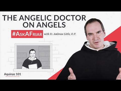 Do Angels Have Free Will? #AskAFriar