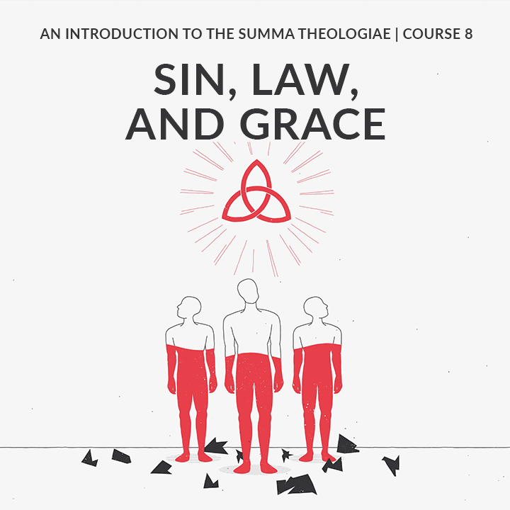 Sin, Law, and Grace