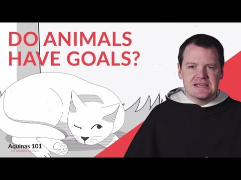 video-thumbnail